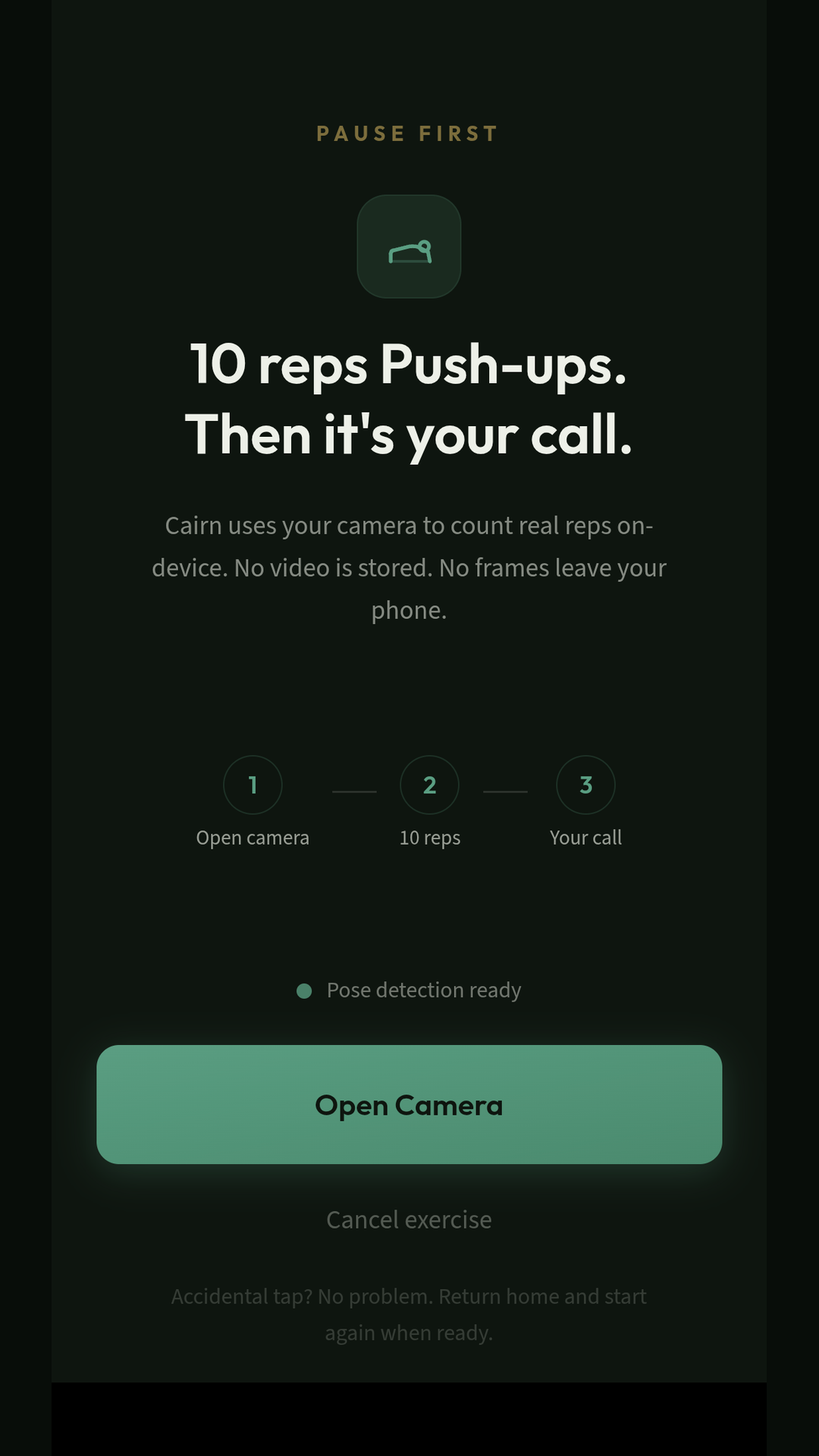 Current Cairn Pause First screen asking for movement before access